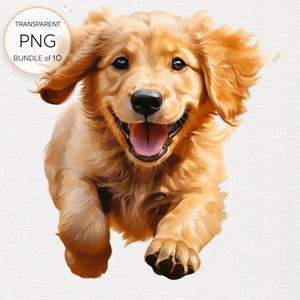 Clipart de filhote de cachorro Golden Retriever - conjunto de 10, PNG de alta resolução, download instantâneo para uso pessoal e comercial