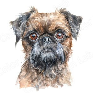 Loving Brussels Griffon Clipart, 8 Images d'art imprimables, Téléchargement numérique, Art mural chien haute résolution, Licence commerciale