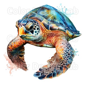 Meeresschildkröte druckbare Clipart - 8 PNGs, digitaler Download, kommerzielle Nutzung hohe Qualität, ideal für Kunsthandwerk, Einladungen und Wandkunst