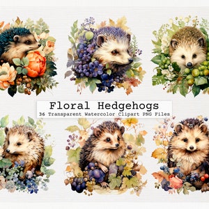 Floral Hedgehog Clipart - 36 Blooming Spikes Transparent Png Format Download Instantâneo Para Uso Comercial Floral Hedgehog Png Clipart Digital