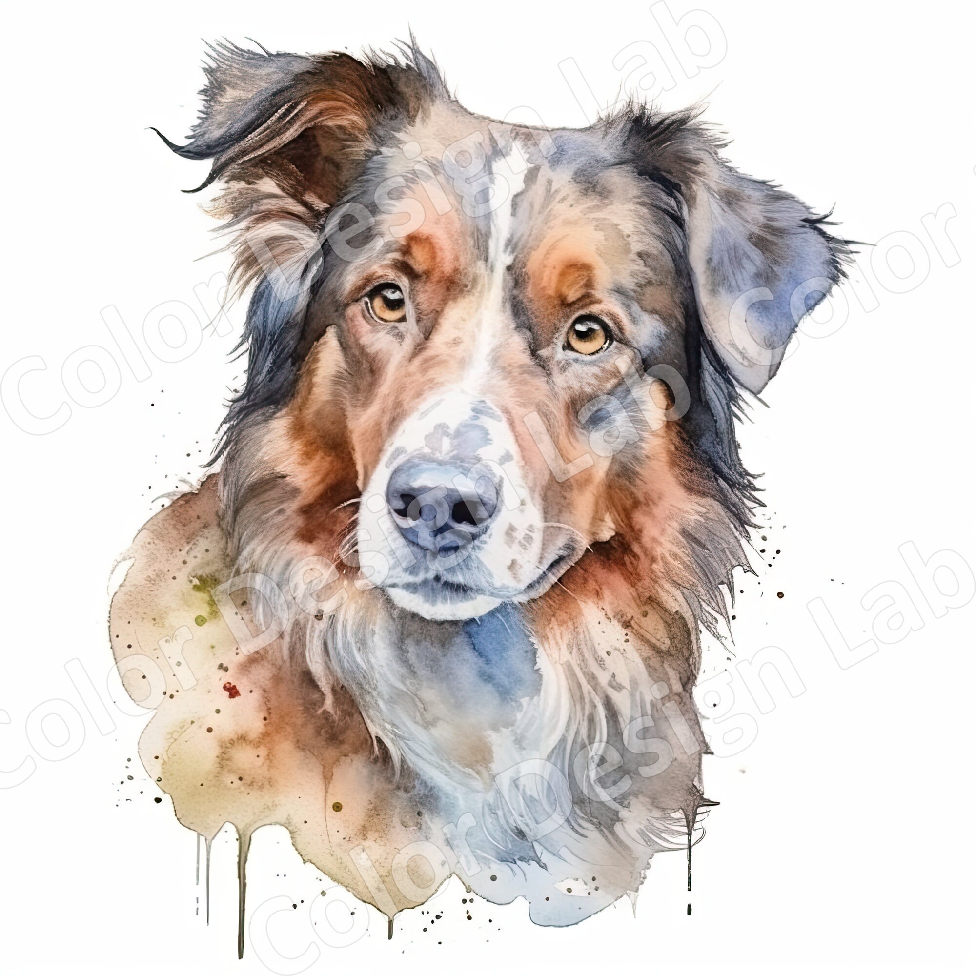Australian Shepherd Clipart Loyal Aussie Set of 8 Printable - Etsy