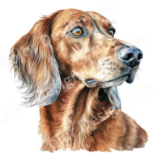 Dackel Clipart, 8er-Pack druckbare Kunstbilder, Hund digitaler Download, hochauflösende JPG, kommerzielle Lizenz enthalten