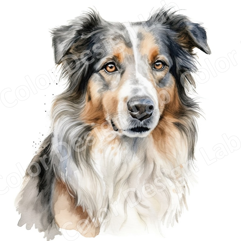 Australian Shepherd Clipart Loyal Aussie Set of 8 Printable - Etsy