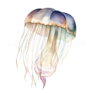 Schillernde Quallen Clipart Set von 8, digitaler Download, hohe Auflösung PNG, kommerzielle Lizenz, einzigartige Einladungen erstellen, Wandkunst