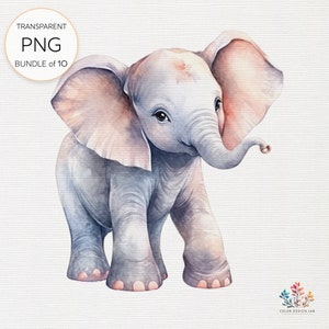Coleção de clipart de elefante bebê fofo: conjunto de 10 elefantes infantis adoráveis PNG transparentes, chás de bebê, arte de berçário e projetos criativos