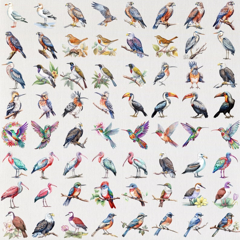 500 Bird Clipart Bundle PNG Images of Birds for Digital - Etsy