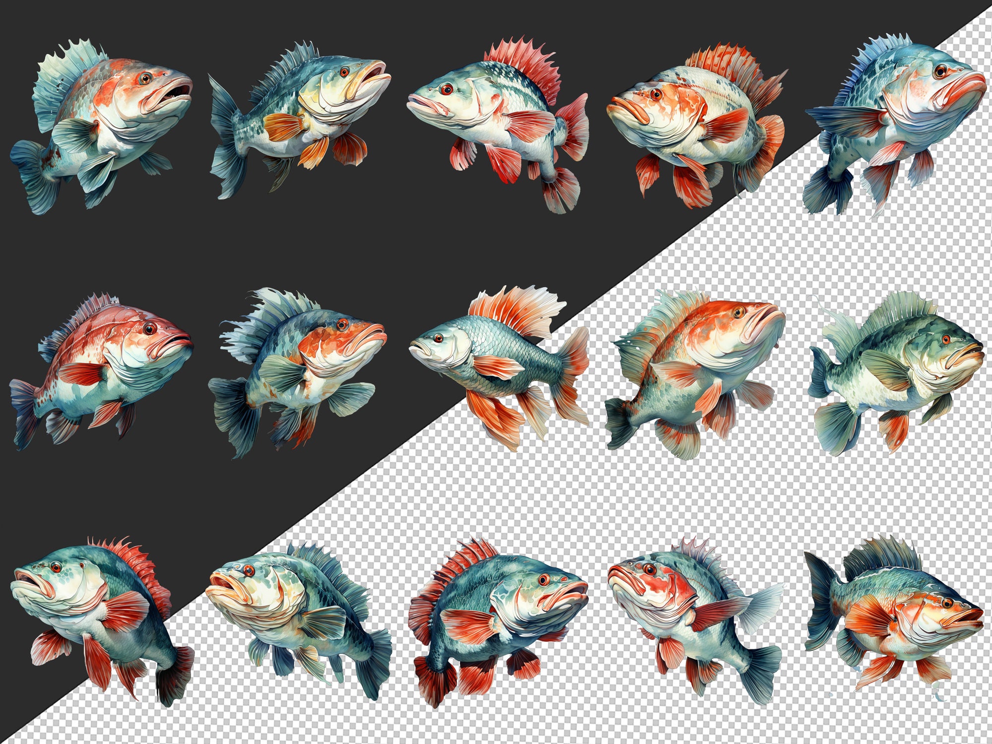 Cod Fish Clipart Bundle of 36 Quality Transparent Watercolor Png ...