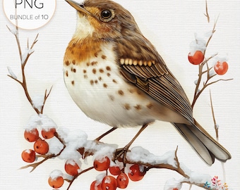 Winter Birds Clipart Bundle: Snowy Owl, Cardinal, Chickadee & More, 10 Transparent PNG Images, Digital Download for Nature-Inspired Art