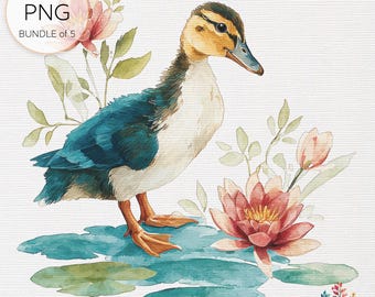 Charming duckling pink waterlily watercolor clip-art bundle of 5 | transparent pngs for whimsical designs & crafts