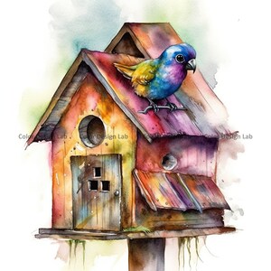 Oiseau maison Clipart, lot de 8 oiseau maison PNG, oiseau maison aquarelle Clipart, téléchargement numérique instantané, haute résolution