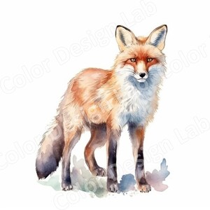Diseño de imágenes prediseñadas de zorro, arte animal astuto, ilustración de cola roja vibrante y tupida, imagen de criatura de vida silvestre del bosque, elegante mamífero del bosque