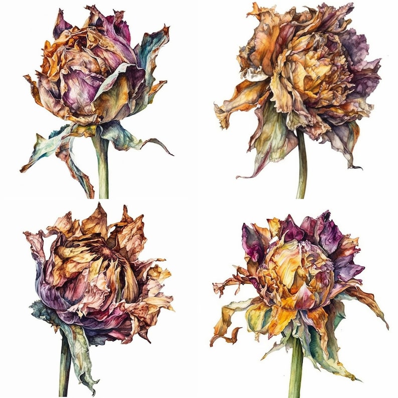 Wilted Flower Clipart Set of 12