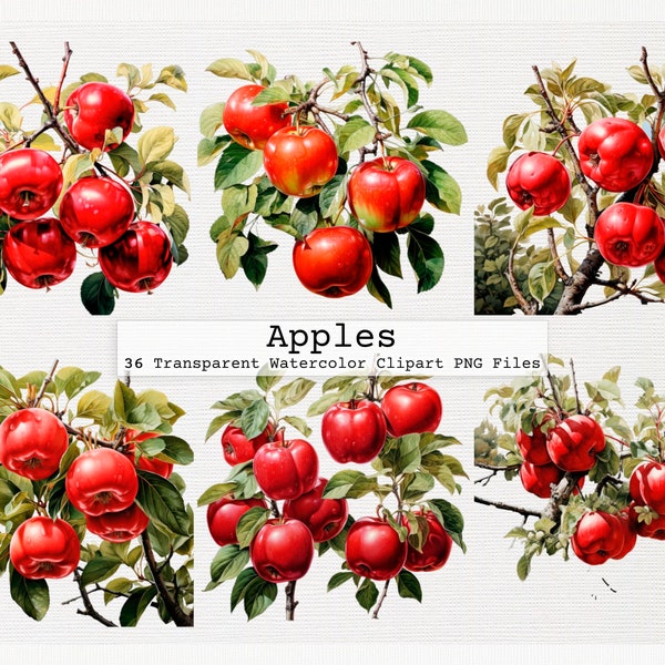 Apples Clipart Bundle - 36 Quality Transparent Watercolor Png Digital Download Files Commercial License Download Png Apples Clip Art