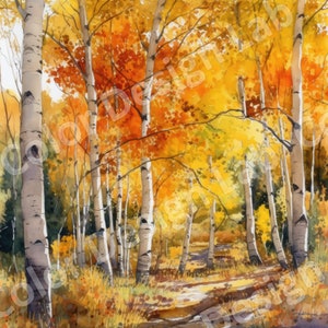 Golden Espen Hain PNG Download, hochauflösendes Set von 4 Clipart-Bildern, Herbst Landschaft Kunst, kommerzielle Lizenz digitaler Download