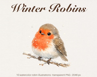 Winter Robins Clipart, Watercolor Junk Journal Christmas Bird PNG (Digital Download)