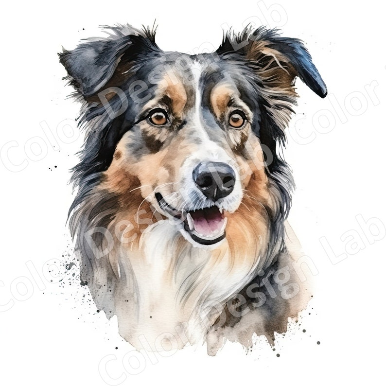 Australian Shepherd Clipart Loyal Aussie Set of 8 Printable - Etsy