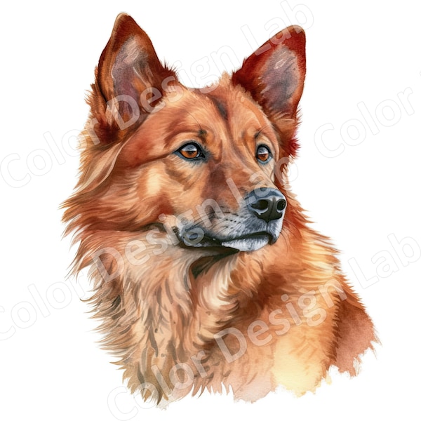 Finnish Spitz Clipart, Hand-drawn Breed Design, Loyal Dog Portrait, Fluffy Tail and Pointed Ears Art, Distinct Canine Representation