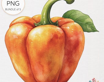 Watercolor Paprika Pepper Clip Art Bundle: Culinary Design PNGs