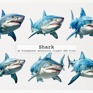 Shark Clipart Bundle - 36 High Quality Transparent Watercolor Png Digital Download Files For Commercial Use Shark Clip Art Png Digital
