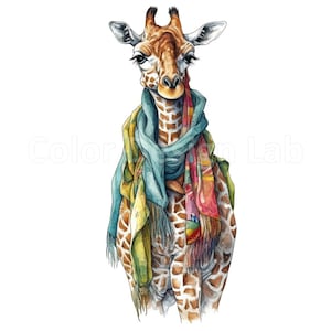 Giraffe in Schal und übergroßen Hut Clipart, Set von 8 hochauflösende Giraffe Digital Art PNG, kommerzielle Lizenz, sofortiger Download, Wandkunst