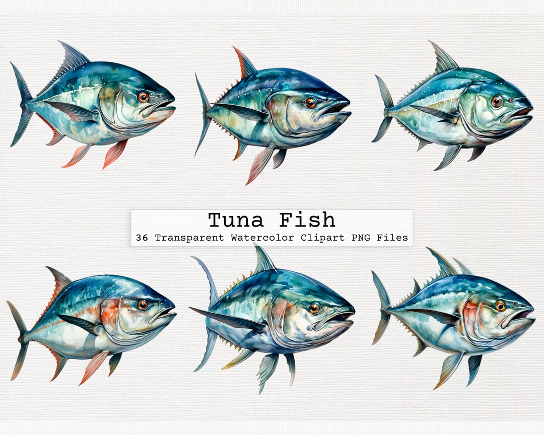 Tuna Fish Clipart Bundle 36 Watercolor Png for Instant Download With