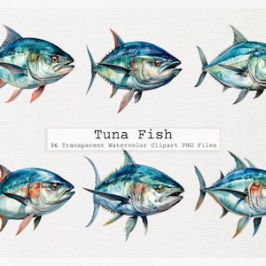 Tuna Fish Clipart Bundle - 36 Watercolor Png For Instant Download With Transparent Background Tuna Fish Clip Art Png Digital Download