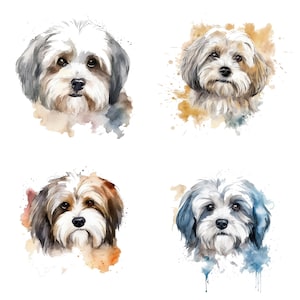 Havanese Dog Watercolor Art Print, Dog Portrait, Digital Download, Havanese Clipart, Printable Wall Art, Dog Lover Gift, Home Decor