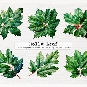 Holly Leaf Clipart Bundle Of 36 Quality Transparent Watercolor Png Digital Download Files Commercial License Download Png Holly Leaf