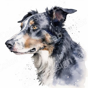 Télécharger 8 Images d'art numérique Border Collie fougueux, Bundle Clipart imprimable, Art mural chien haute résolution, licence commerciale