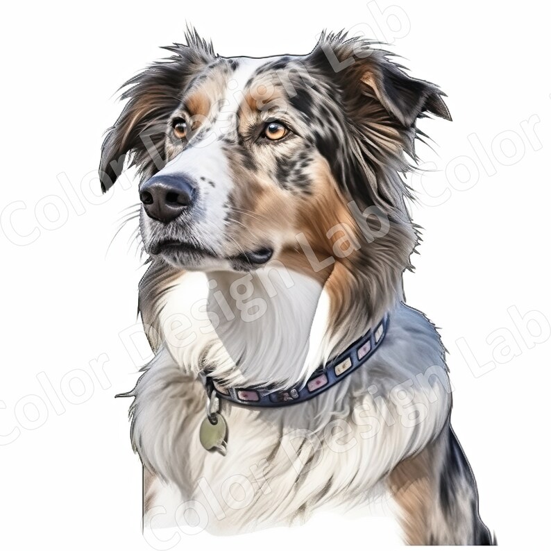 Australian Shepherd Clipart Loyal Aussie Set of 8 Printable - Etsy