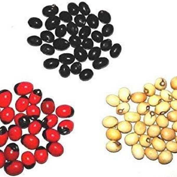 Natural Chirmi Gunja Seeds (324 Pieces(108Pcs each))(Red, White & Black Seeds)