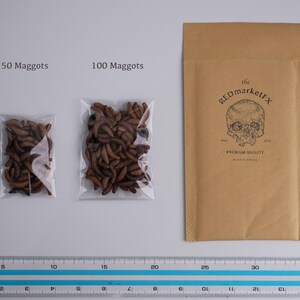 May include: Two clear plastic bags containing brown maggots, labeled "50 Maggots" and "100 Maggots". A brown paper envelope with the text "the REDmarketFX PREMIUM QUALITY" is in the background.