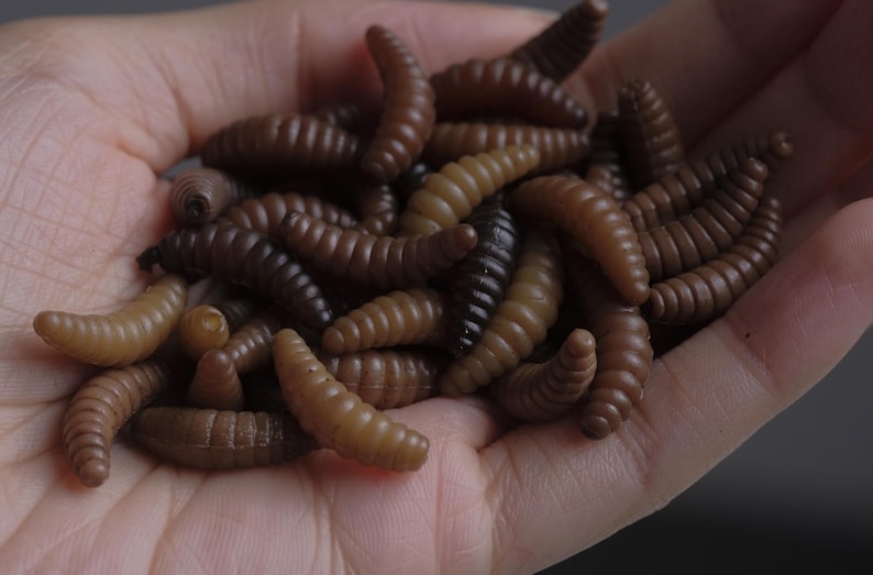 May include: A close-up of a hand holding a pile of brown and black plastic fishing worms.