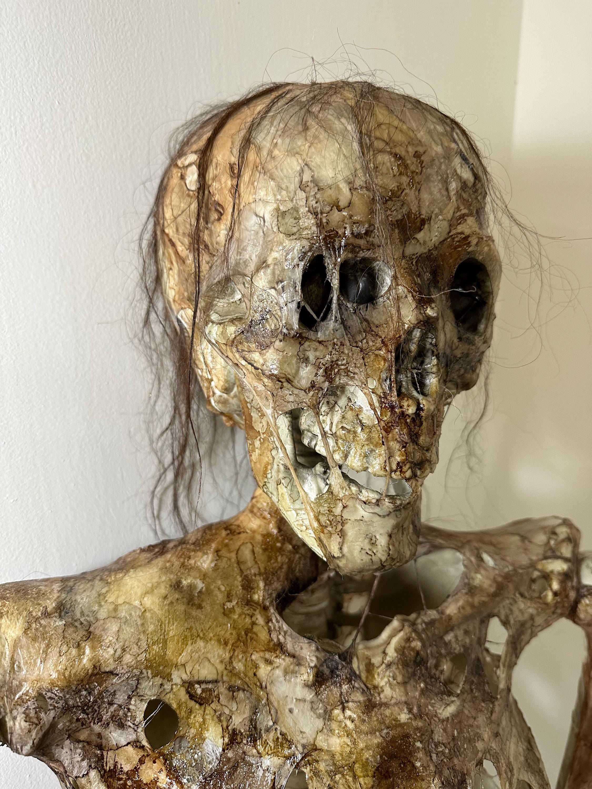 Realistic Skeleton Mummified Corpse Prop: Lifesize Horror Decor