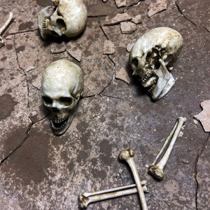 Human Skull miniature and bone replica prop, realistic Detailed, multiple sizes