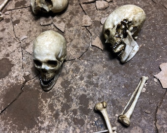 Menschlicher Schädel Miniatur und Knochen Replika Requisite, realistisch detailliert, mehrere Größen