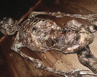 Mumifizierte Leichenpuppe: Lebensgroßes Horror-Dekor