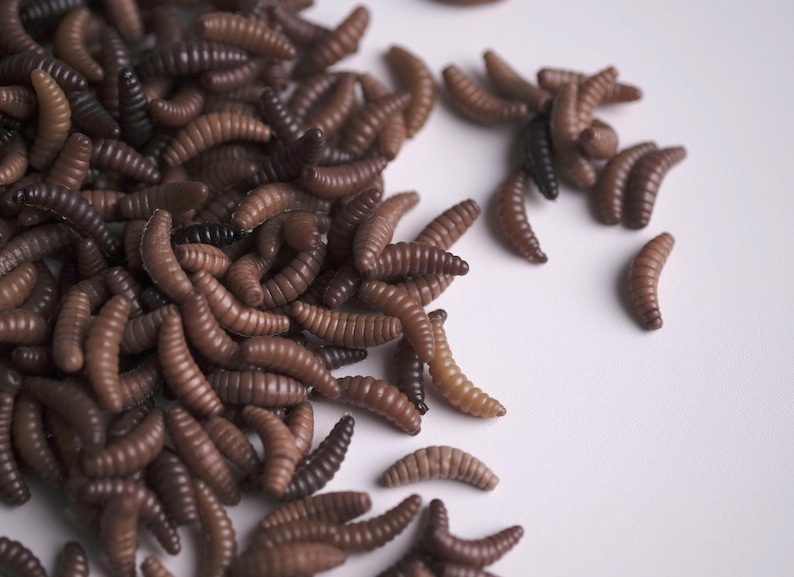 May include: A close-up of a pile of brown plastic fishing worms. The worms are arranged in a random pattern on a white surface.