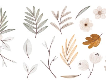 leaves