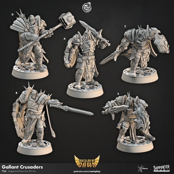 Gallant Crusaders - Shields of Dawn - 44mm Height (25mm Base) - CastNPlay - Dungeons and Dragons - Pathfinder