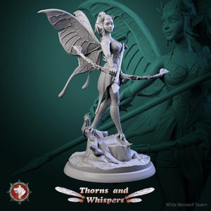 Fairy Fantasies and Pool of Paradise Bundle | Daz 3D