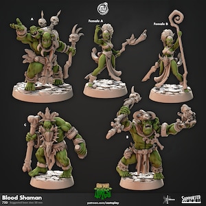 Blood Shaman - Iron Skull Orcs - 25mm Base - CastNPlay - Dungeons and Dragons - Pathfinder