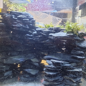 Overgrown slate cave system for the aquarium