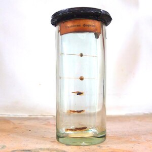 Vintage Fisch Seltene finden Personalisiertes Geschenk Vintage Fisch lustiges Geschenk Lehrmittel Fisch Geschenk für ihn Wohnkultur Vintage Dekor Geschenk für Fischer