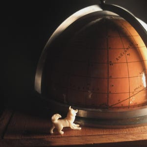 Puede incluir: Un globo terráqueo de estilo vintage con una figura de perro color crema delante. El globo es marrón con líneas de cuadrícula y texto en negro. El perro está tumbado sobre una superficie de madera, con el globo al fondo.