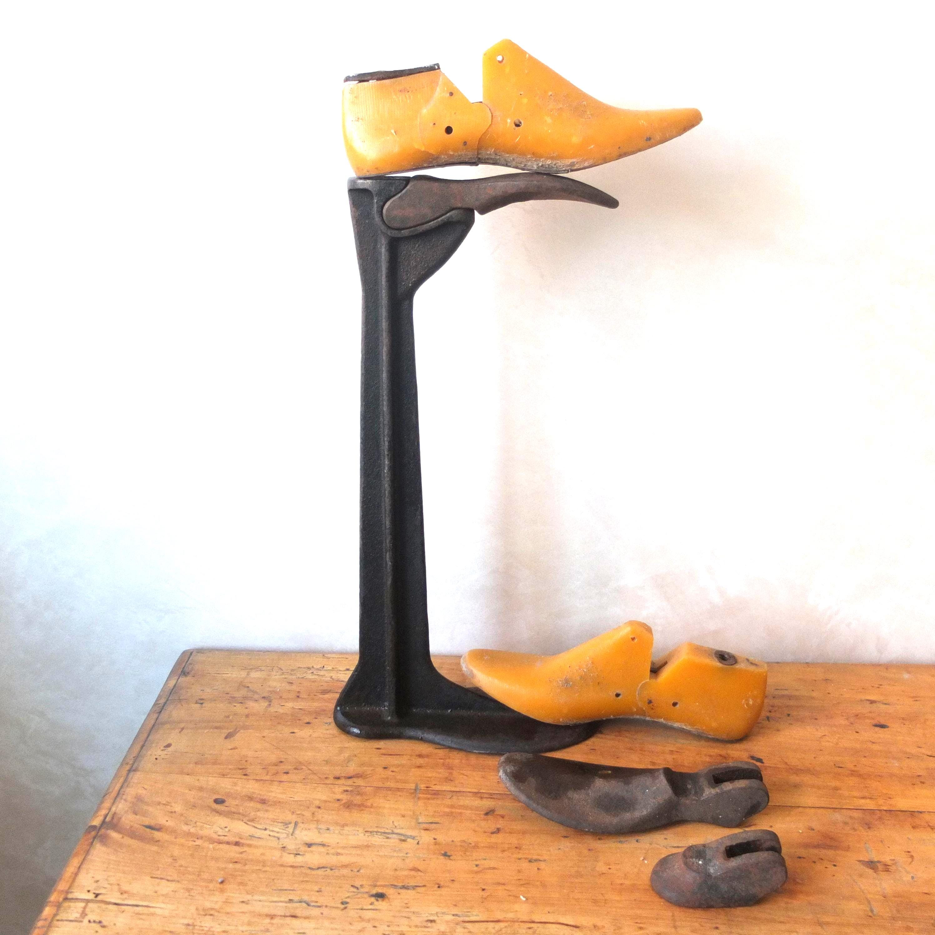 SEMENZA PER CALZOLAI Mis. 12 KG 1 - Foto 5