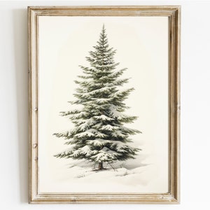 May include: A vintage illustration of a snow-covered evergreen tree with green needles and white snow. The tree is standing in a snowy landscape.