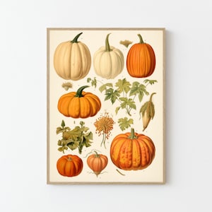 Vintage Botanical Wall Chart, Pumpkins, Autumn, Fall Decor, Halloween decor, Fall Leaves, Botanical Drawning, Halloween Wall Decor, A1