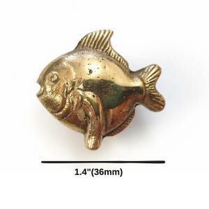K&ouml;nnte beinhalten: Ein fischf&ouml;rmiger M&ouml;belknopf aus poliertem Messing mit strukturierter Oberfl&auml;che und ausgepr&auml;gten Flossen. Das Objekt misst 36 mm in der Breite, wie durch den Text unter dem Artikel angegeben, der einen klaren Ma&szlig;stab f&uuml;r den goldfarbenen Beschlag bietet.