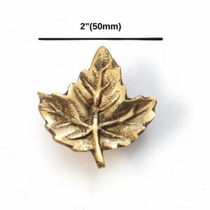 K&ouml;nnte beinhalten: Ein goldfarbener M&ouml;belknopf aus Metall in Form eines Ahornblatts mit strukturierter Oberfl&auml;che und ausgepr&auml;gten Blattadern. Der Knopf misst 50 mm in der Breite, wie durch den Text 2"(50mm) &uuml;ber dem Objekt auf wei&szlig;em Grund angegeben.